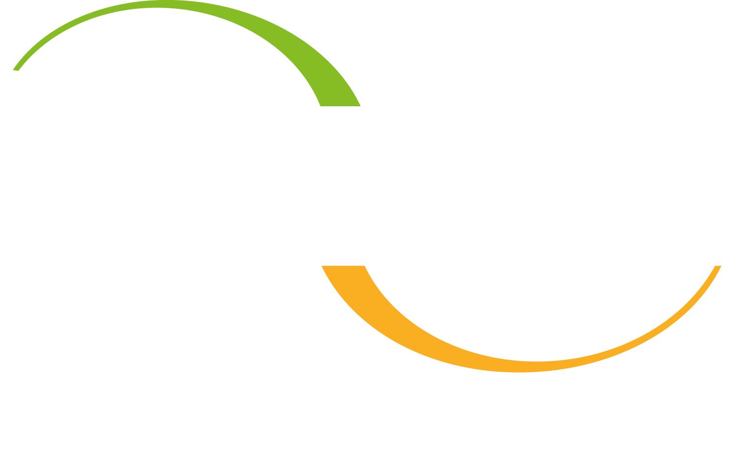 Barjas Negri